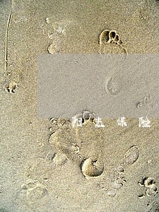 阳光保险贷款逾期怎么协商 阳光保险贷款逾期怎么协商