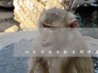 阳光保险贷款逾期爆通讯录 阳光保险贷款逾期爆通讯录