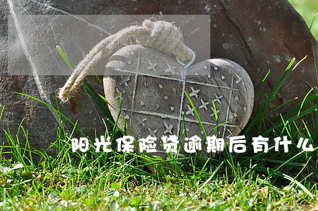 阳光保险贷逾期后有什么保障 阳光保险贷逾期后有什么保障