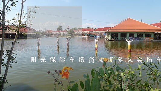 阳光保险车抵贷逾期多久会拖车 阳光保险车抵贷逾期多久会拖车
