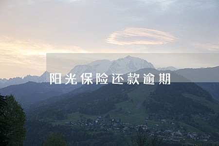 阳光保险还款逾期 阳光保险还款逾期