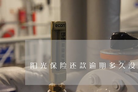 阳光保险还款逾期多久没事 阳光保险还款逾期多久没事