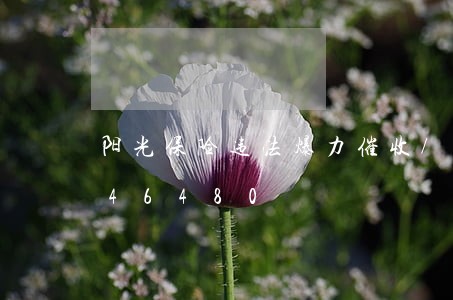 阳光保险违法爆力催收/2023020446480 阳光保险违法爆力催收/2023020446480
