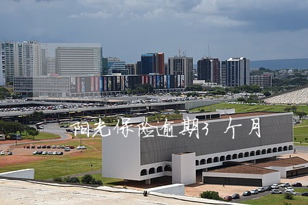 阳光保险逾期3个月 阳光保险逾期3个月