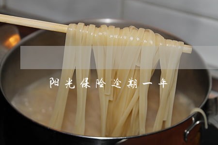 阳光保险逾期一年 阳光保险逾期一年