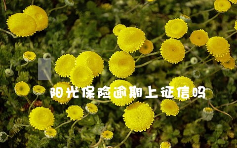 阳光保险逾期上征信吗 阳光保险逾期上征信吗