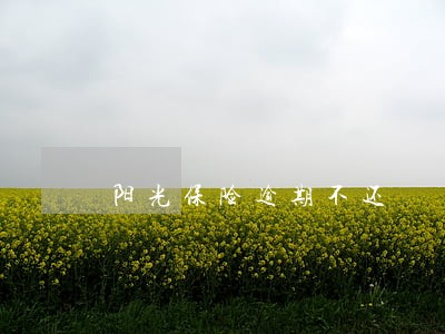 阳光保险逾期不还 阳光保险逾期不还