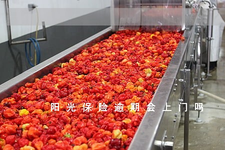 阳光保险逾期会上门吗 阳光保险逾期会上门吗