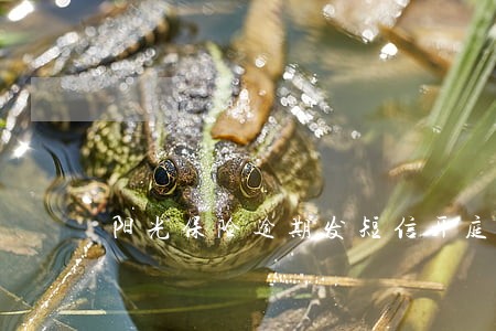 阳光保险逾期发短信开庭通知 阳光保险逾期发短信开庭通知