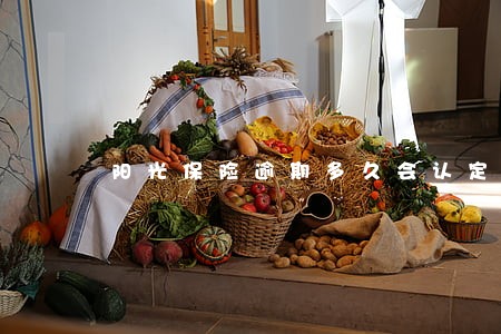 阳光保险逾期多久会认定退保
