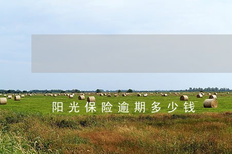 阳光保险逾期多少钱 阳光保险逾期多少钱