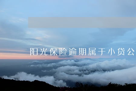 阳光保险逾期属于小贷公司吗 阳光保险逾期属于小贷公司吗