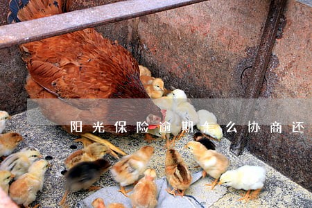 阳光保险逾期怎么协商还 阳光保险逾期怎么协商还