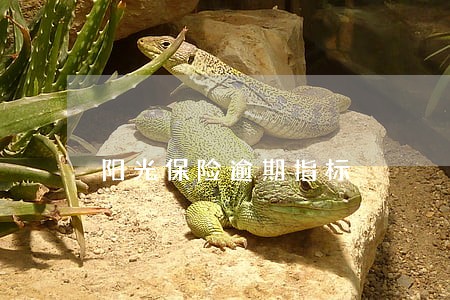 阳光保险逾期指标 阳光保险逾期指标