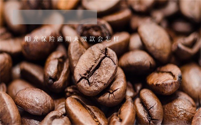 阳光保险逾期未缴款会怎样 阳光保险逾期未缴款会怎样