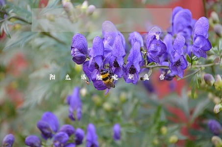 阳光保险逾期通告 阳光保险逾期通告