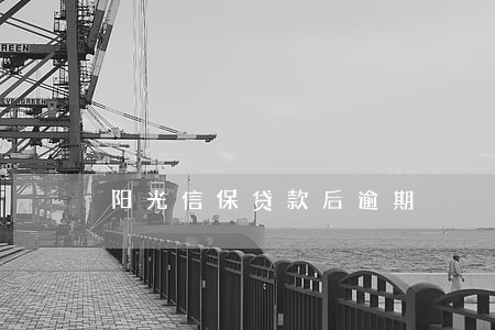 阳光信保贷款后逾期 阳光信保贷款后逾期