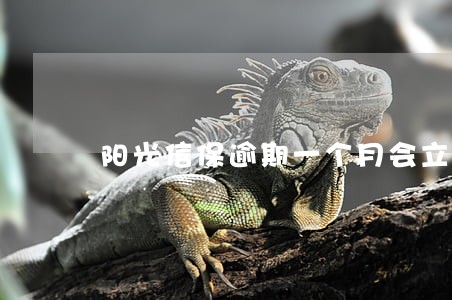 阳光信保逾期一个月会立案吗