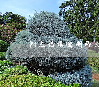 阳光信保逾期两天 阳光信保逾期两天