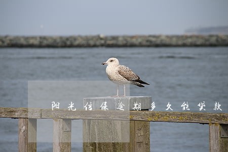阳光信保逾期多久能贷款 阳光信保逾期多久能贷款