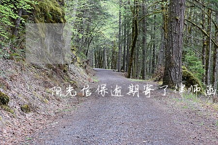 阳光信保逾期寄了律师函 阳光信保逾期寄了律师函