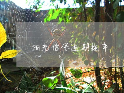 阳光信保逾期拖车 阳光信保逾期拖车