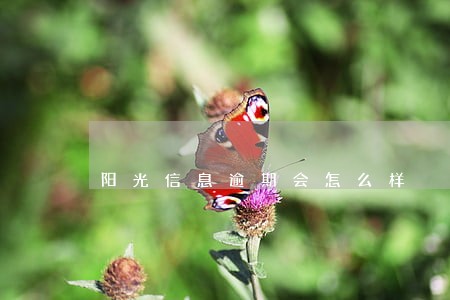 阳光信息逾期会怎么样 阳光信息逾期会怎么样