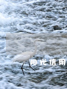 阳光信用贷逾期会怎样 阳光信用贷逾期会怎样
