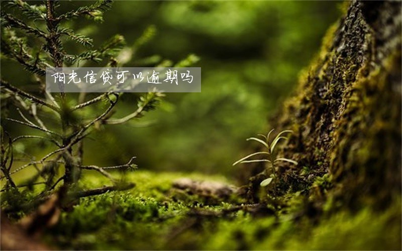 阳光信贷可以逾期吗 阳光信贷可以逾期吗