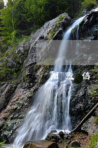 阳光信贷贷款还款逾期一天怎么样 阳光信贷贷款还款逾期一天怎么样