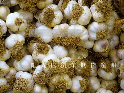 阳光信贷车抵贷逾期 阳光信贷车抵贷逾期