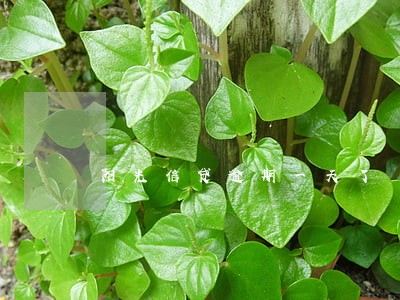 阳光信贷逾期一天了 阳光信贷逾期一天了