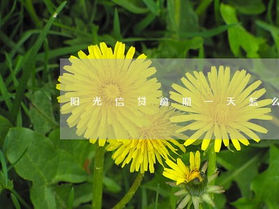 阳光信贷逾期一天怎么办 阳光信贷逾期一天怎么办