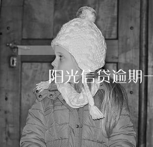 阳光信贷逾期一天怎么样 阳光信贷逾期一天怎么样