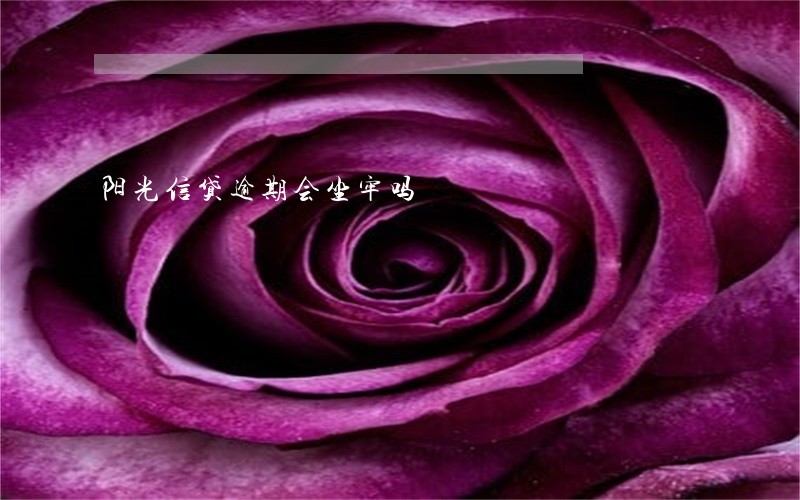 阳光信贷逾期会坐牢吗 阳光信贷逾期会坐牢吗