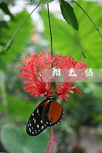 阳光信贷逾期几天