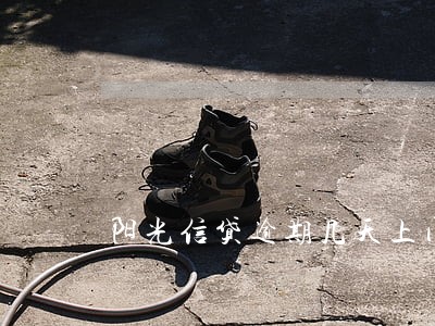 阳光信贷逾期几天上门