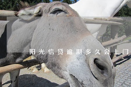 阳光信贷逾期多久会上门催款