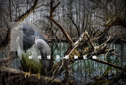 阳光信贷逾期影响