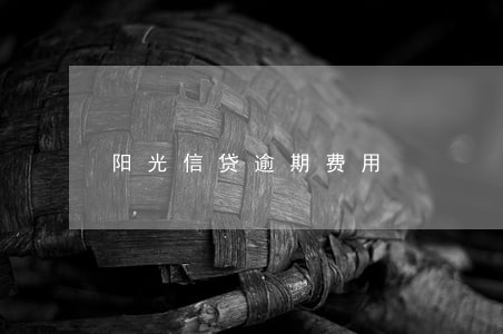 阳光信贷逾期费用 阳光信贷逾期费用