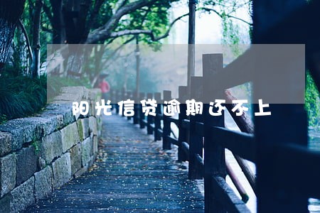 阳光信贷逾期还不上 阳光信贷逾期还不上