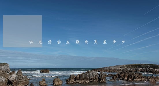 阳光借贷逾期费用是多少