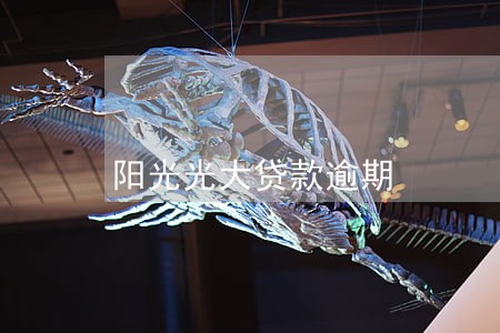 阳光光大贷款逾期 阳光光大贷款逾期