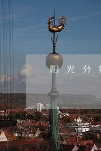 阳光分期信用卡逾期了怎么办 阳光分期信用卡逾期了怎么办