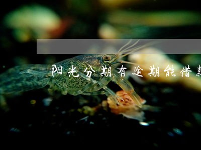 阳光分期有逾期能借款吗 阳光分期有逾期能借款吗