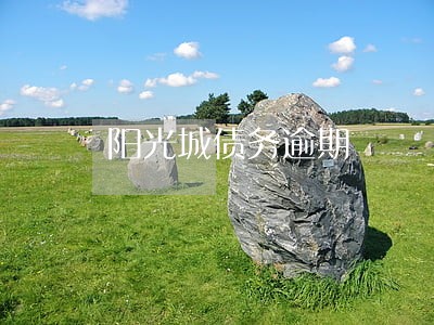 阳光城债务逾期 阳光城债务逾期