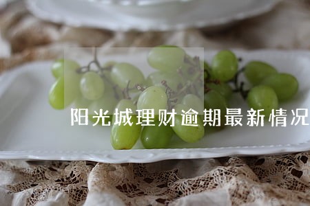 阳光城理财逾期最新情况 阳光城理财逾期最新情况