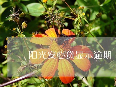 阳光安心贷显示逾期 阳光安心贷显示逾期
