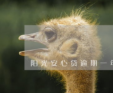 阳光安心贷逾期一年多 阳光安心贷逾期一年多