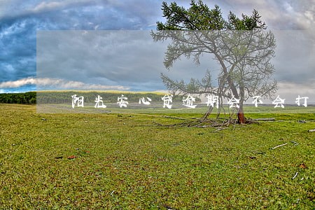 阳光安心贷逾期会不会打电话 阳光安心贷逾期会不会打电话